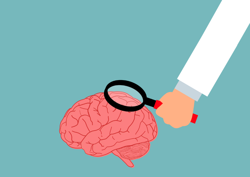 기억은 조작될 수 있을까? 허위 기억의 미스터리