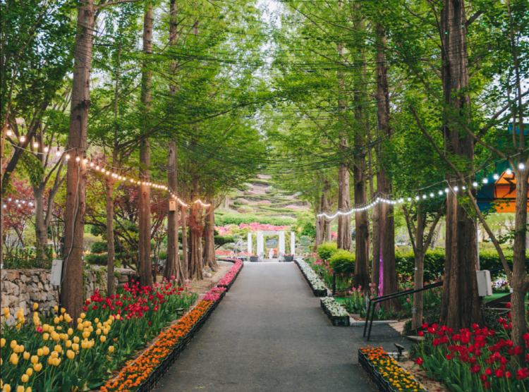 피나클랜드 수목원