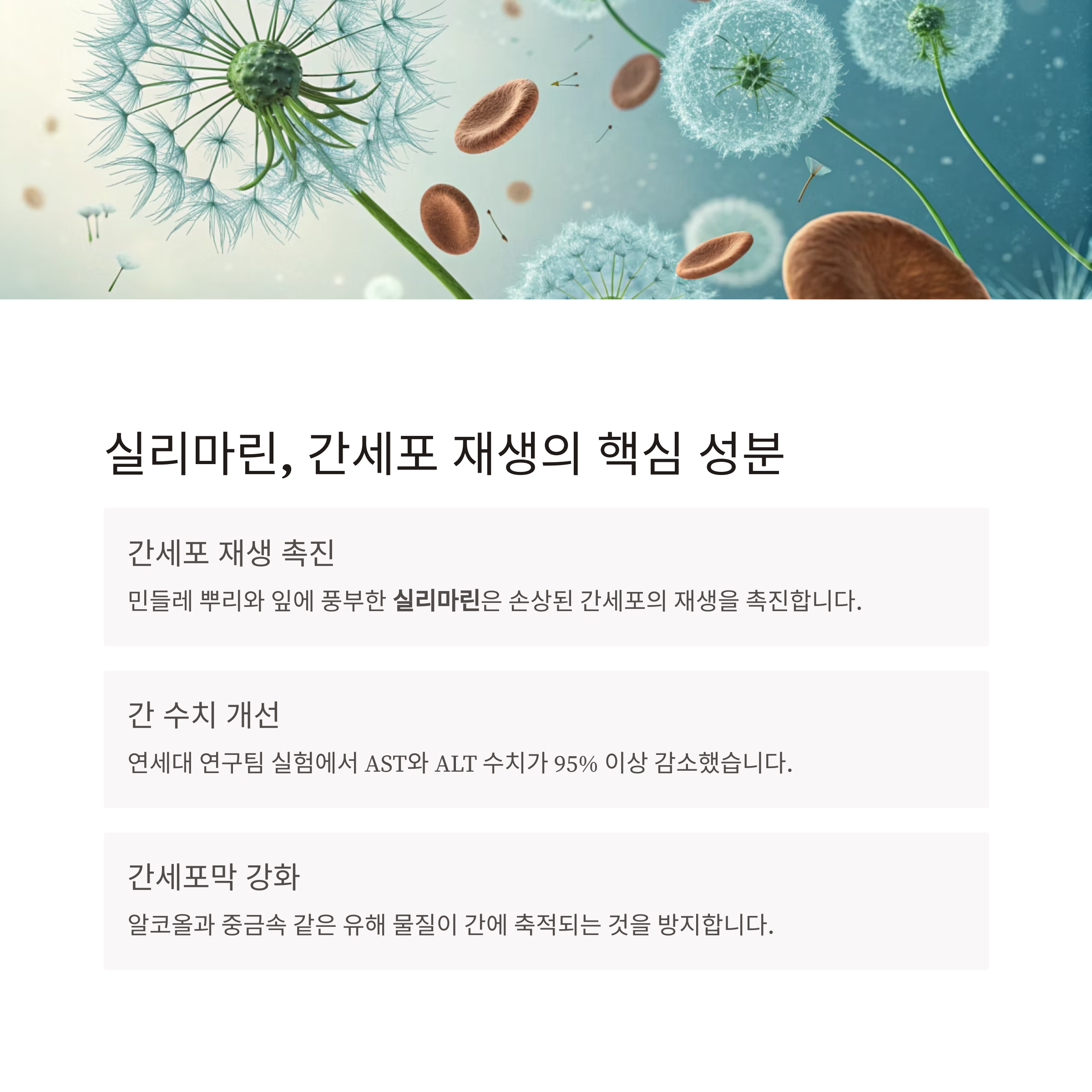 민들레차 효능