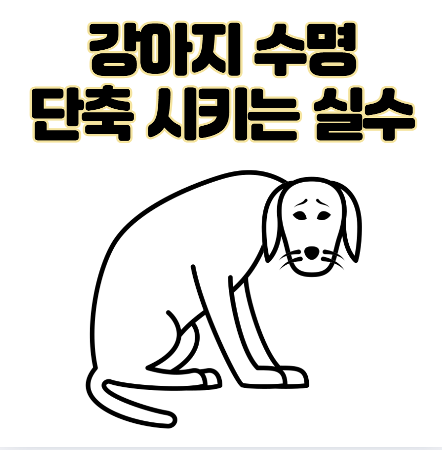 강아지 수명 단축시키는 건강관리 실수 5가지 초보 견주 필독