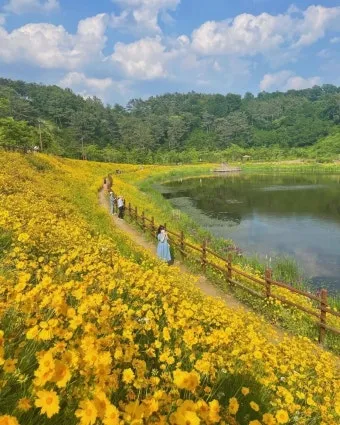 5월부터 6월 여행지 추천 덥기 전에 꼭 가야 할 최고의 힐링 명소 8곳_16