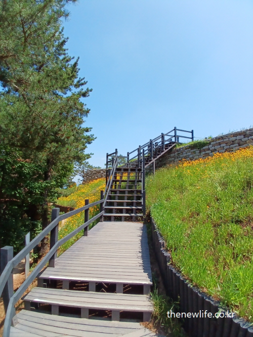 Wooden stairs leading up a flower-covered hill – symbolic of stair climbing as a path to better health-꽃으로 덮인 언덕 위로 이어진 나무 계단 – 건강한 삶을 향한 계단오르기 상징 장면