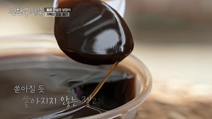 홍콩-거북이젤리