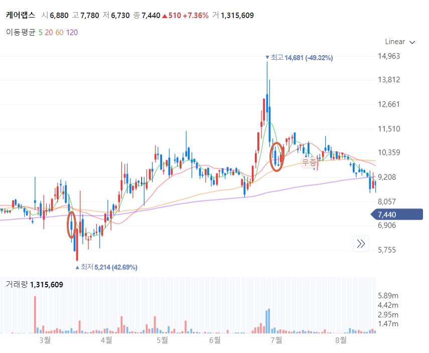 2020년도 케어랩스 주가차트
