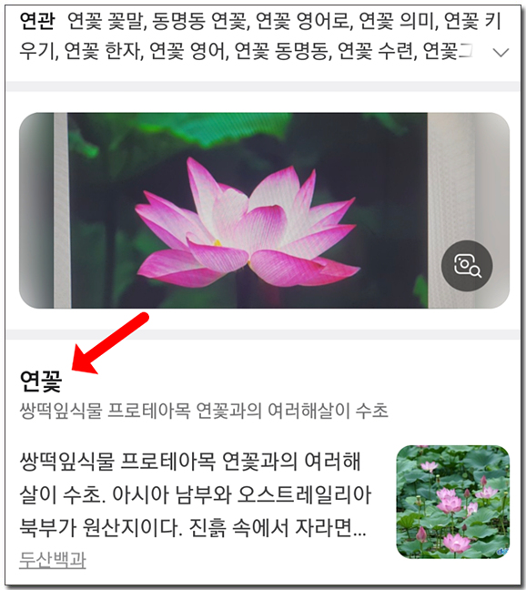 λ€μ΄λ² κ½κ²μ λ°©λ²