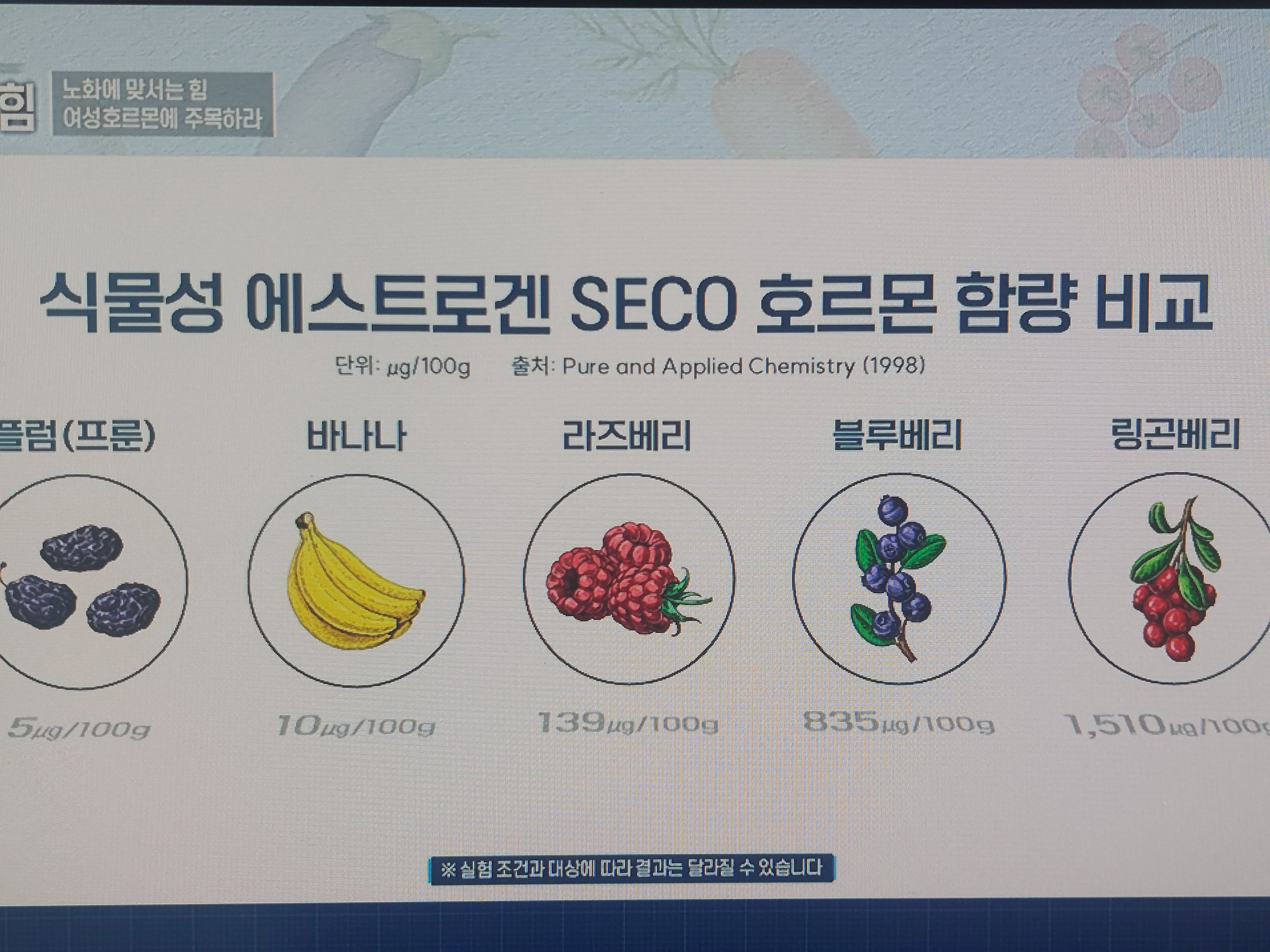 링곤베리 효능