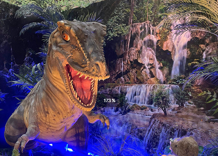 여수 테디베어 뮤지엄