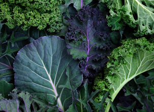 마그네슘이 풍부한 음식 케일