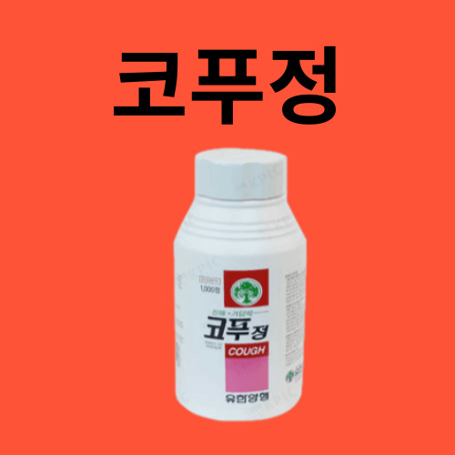 코푸정