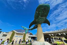 오키나와 여행 하기 좋은 계절