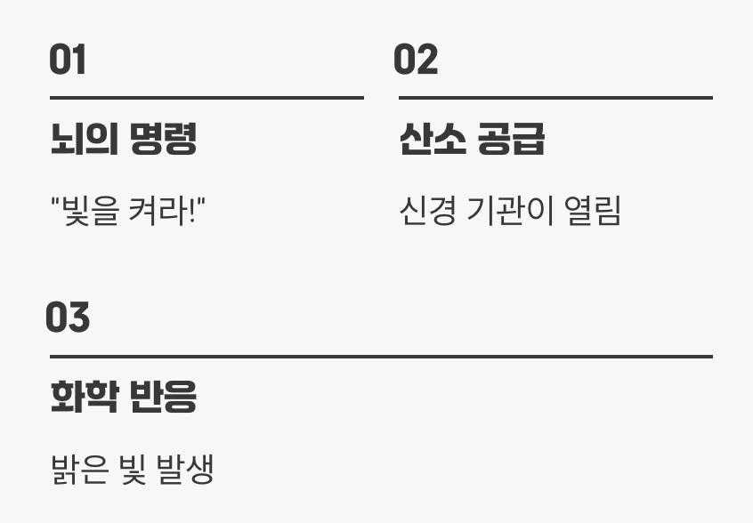 빛을 껐다 켰다, 자유자재 스위치