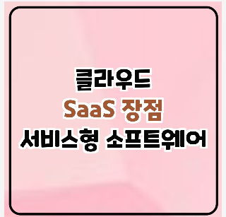 saas 장점 서비스형 소프트웨어