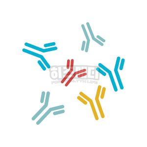 마이코플라스마 폐렴 전염 증상