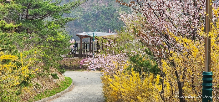 장산 전망대
