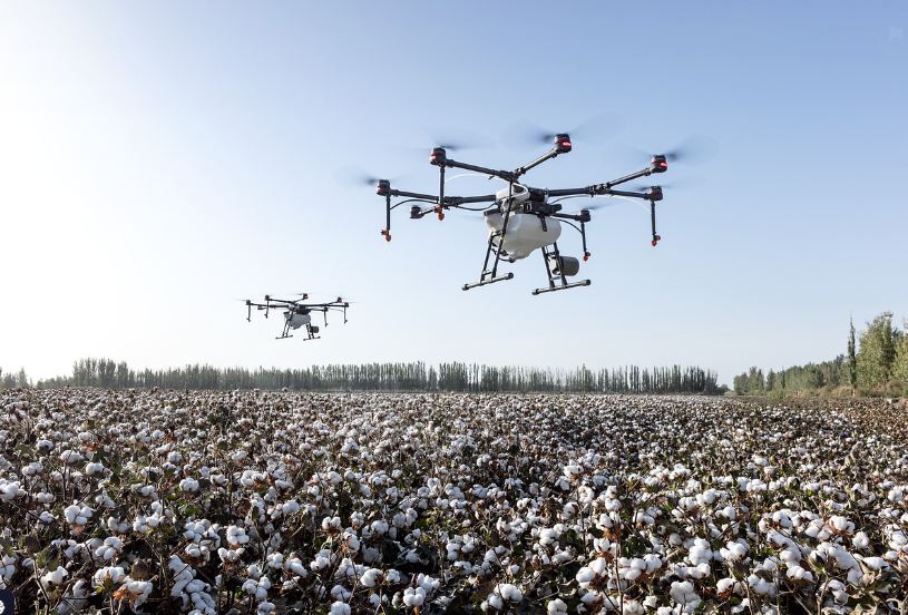 농업 로봇: 노동력 부족 해결과 스마트 농업 혁신