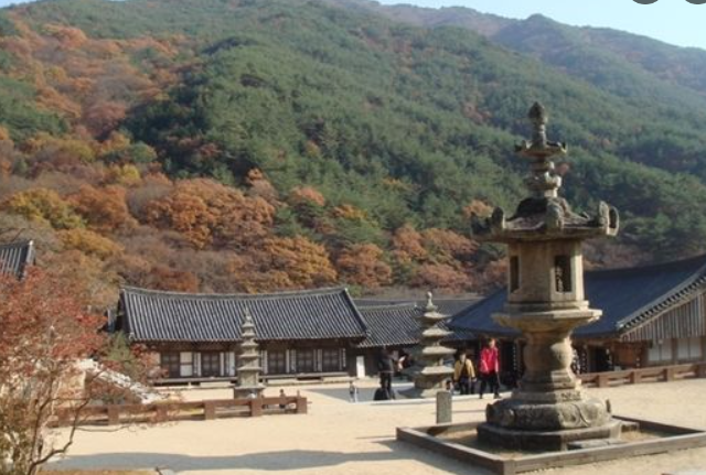 2025 지리산 단풍 절정 시기 &amp; 실시간 현황 + 인기 등산코스 총정리