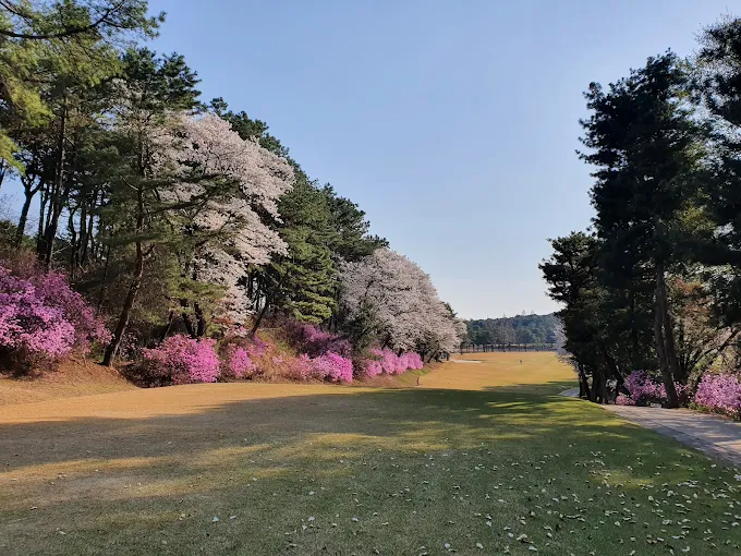 고양시 서울한양컨트리클럽 (한양CC) 소개 및 이용방법