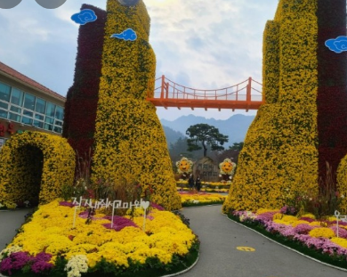 11월 단풍축제 가볼만한곳 BEST 10