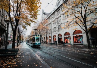 서울 사랑 상품권 관련 사진 