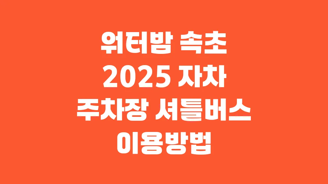 워터밤 속초 2025 자차 주차장 셔틀버스 이용방법