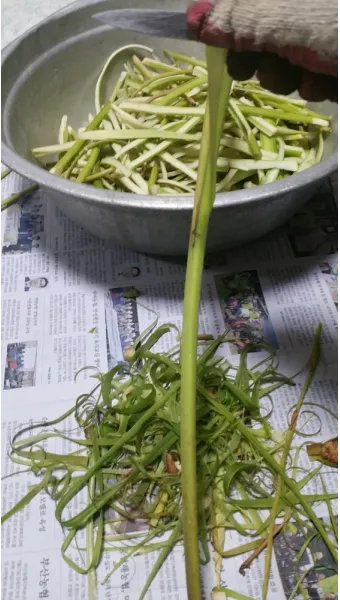 토란대 손질방법 말리는 방법을 정리_4