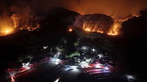 의성산불피해현장-실시간-마을 뒷산화재현장