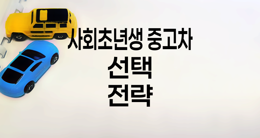 사회초년생 중고차 선택 전략