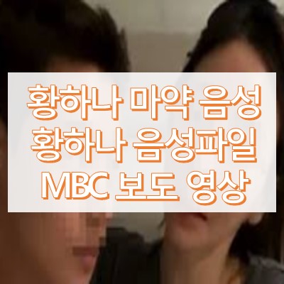 황하나 음성파일