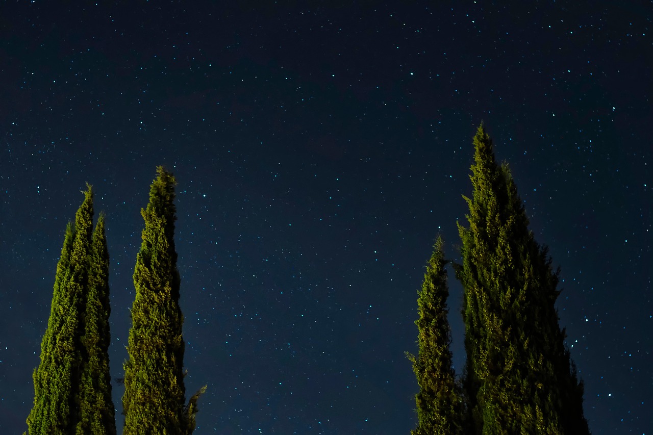 2025년 9월 22일~28일 주간 별자리 운세