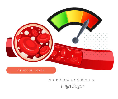 고혈당 쇼크 증상, 쇼크 원인, 낮추는 방법 총정리 (2024ver)