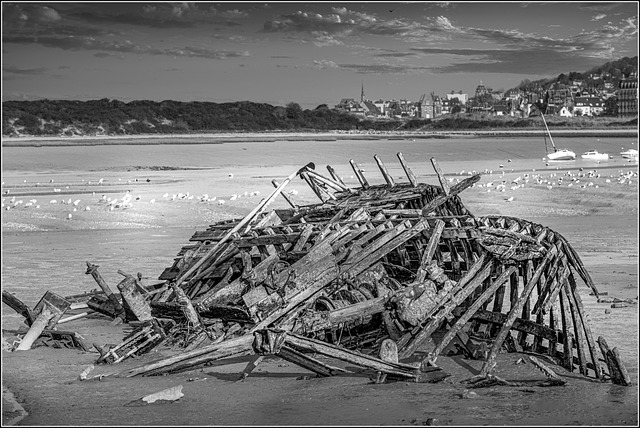 재난 지원 등록금