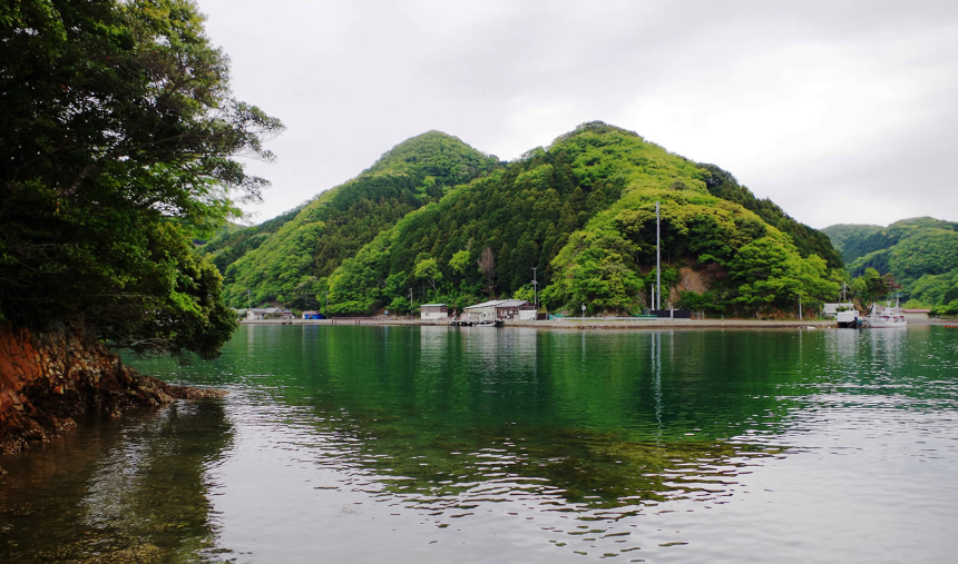 대마도 여행 가이드 2025 – 가깝지만 색다른 일본 섬 여행