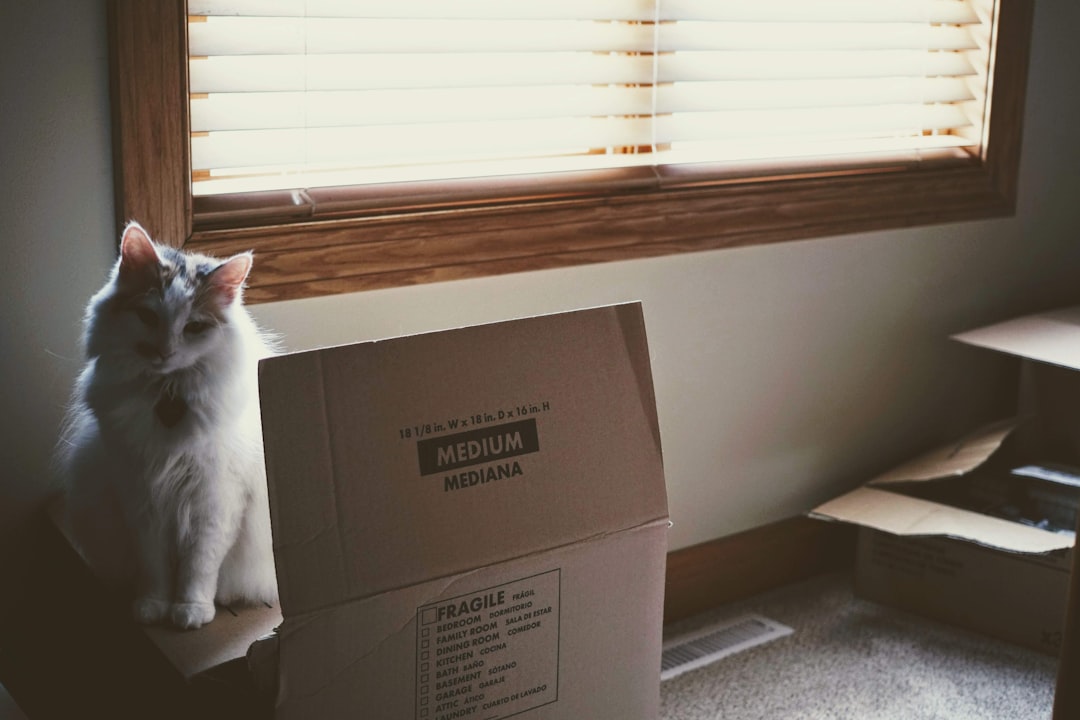 Moving