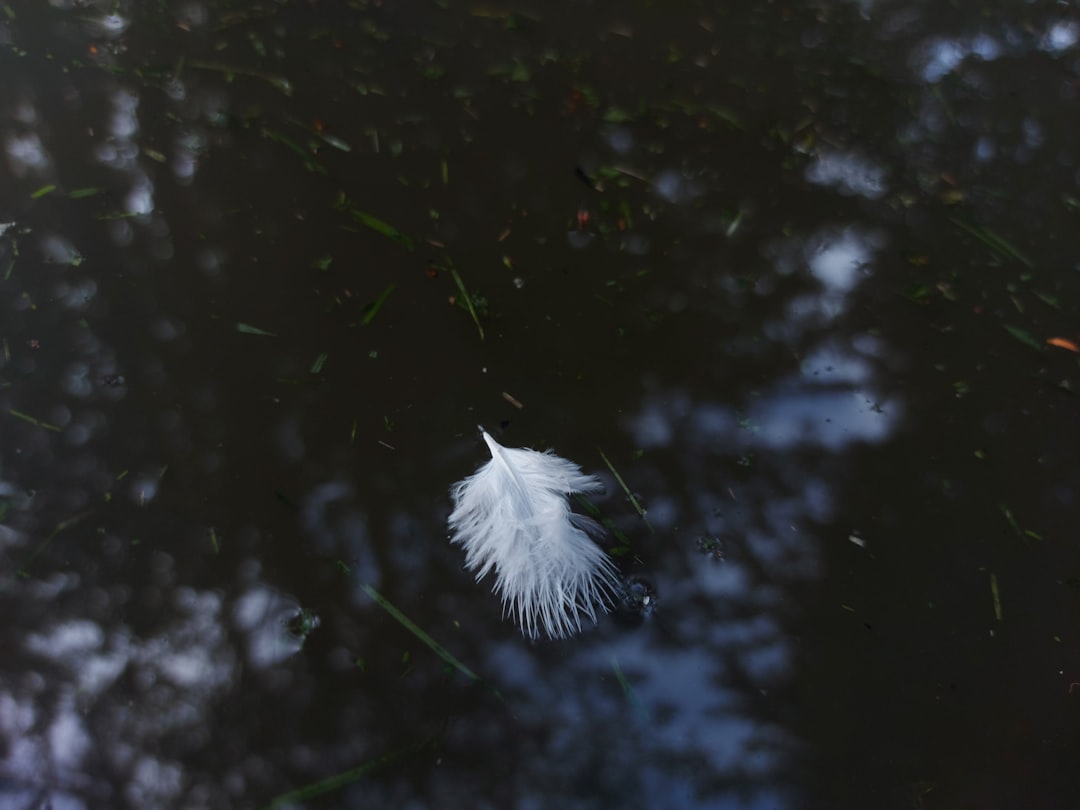 'Life'