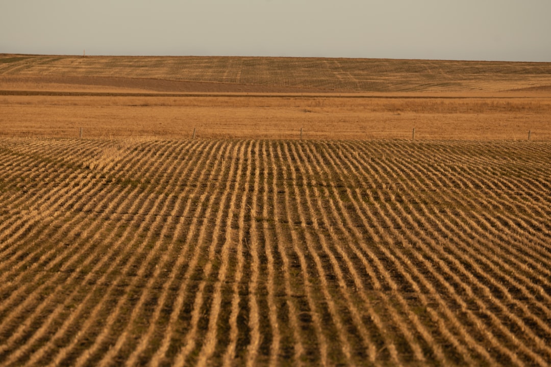 Agricultural management