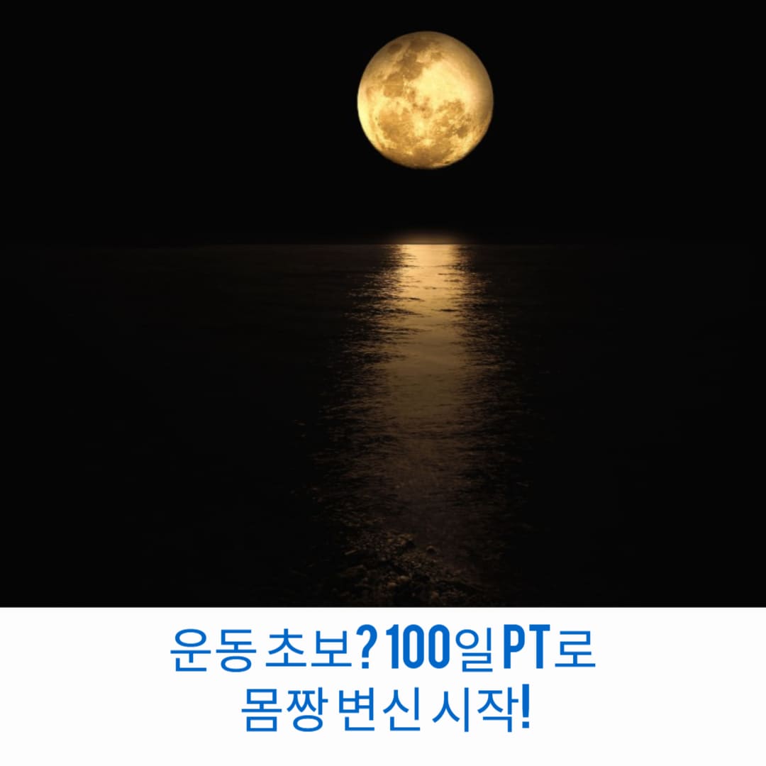 운동-초보-100일-PT로-몸짱-변신-시작-썸네일