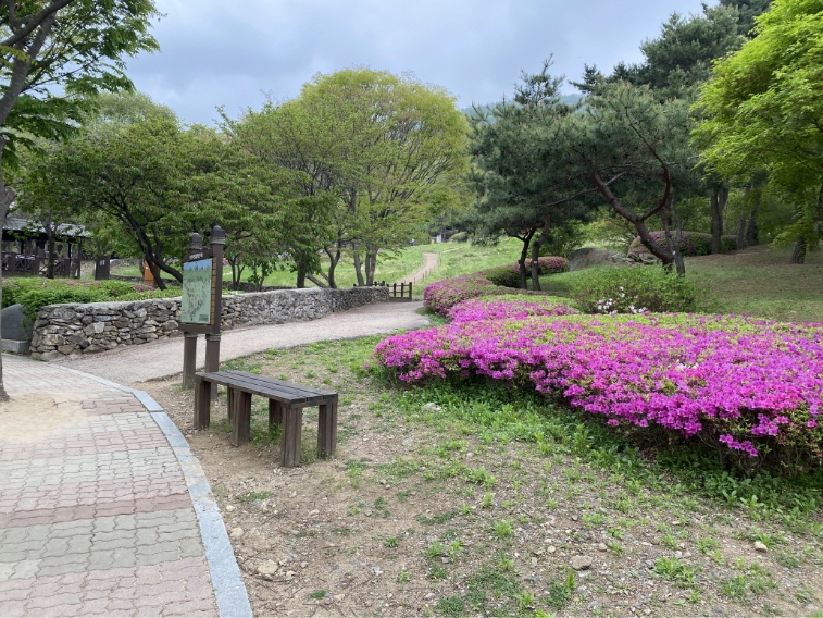 용인자연휴양림