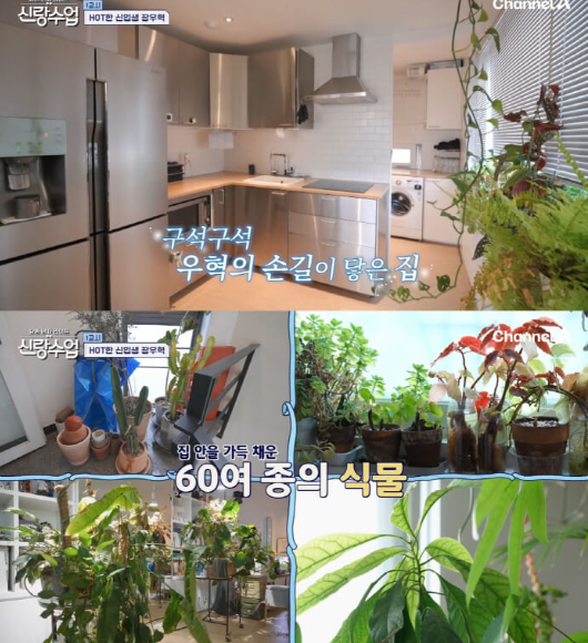 신랑수업 장우혁, 혼자여도 빛나는 200억 자산의 비밀