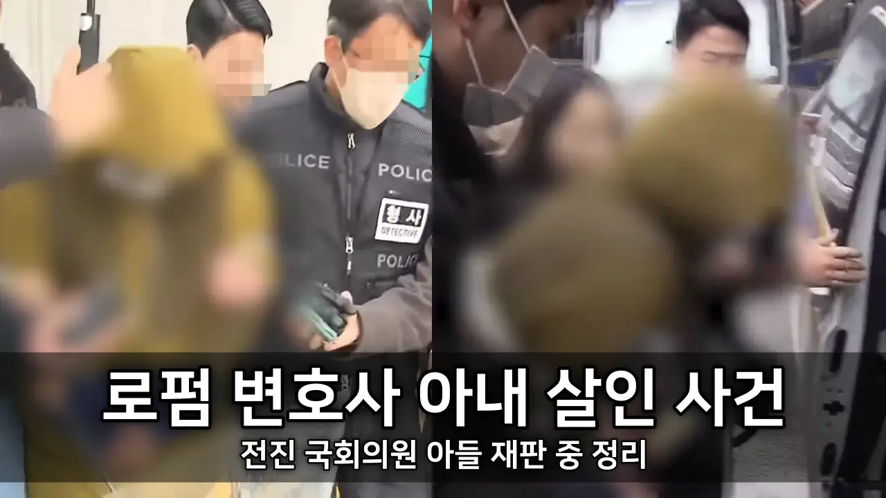 로펌 변호사 아내 살인 사건 - 전직 국회의원 아들 재판 중 정리