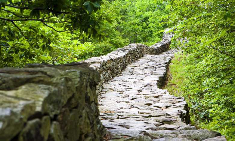 2025/2026 오크밸리 스키장 시즌권·리프트권 완벽 가이드(개장일 확정)