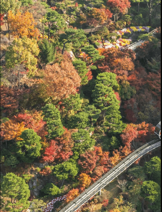 내장산 단풍시기&amp;#44; 절정&amp;#44; 축제