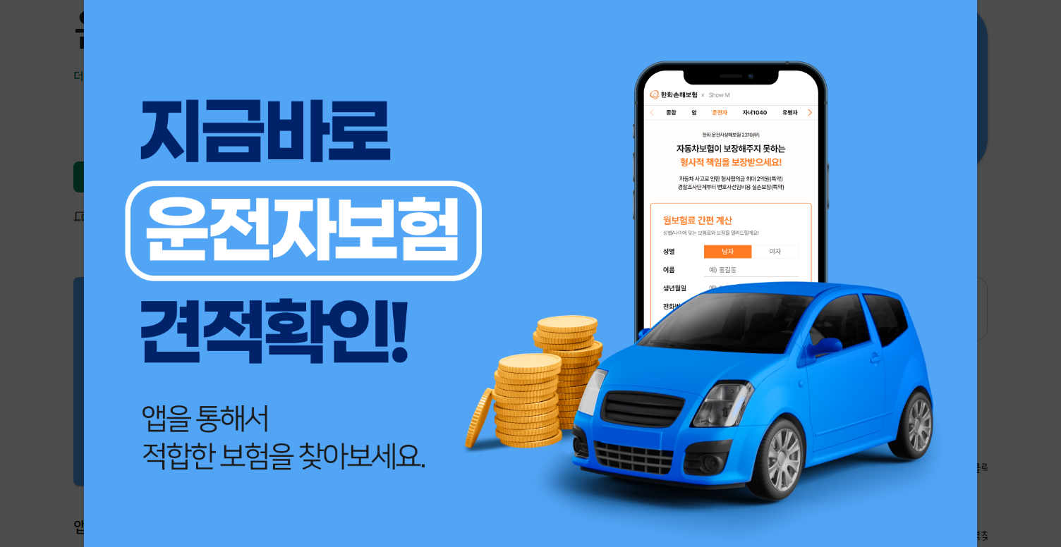 운전자보험 비교 사이트, 운전자보험 보험료 조회