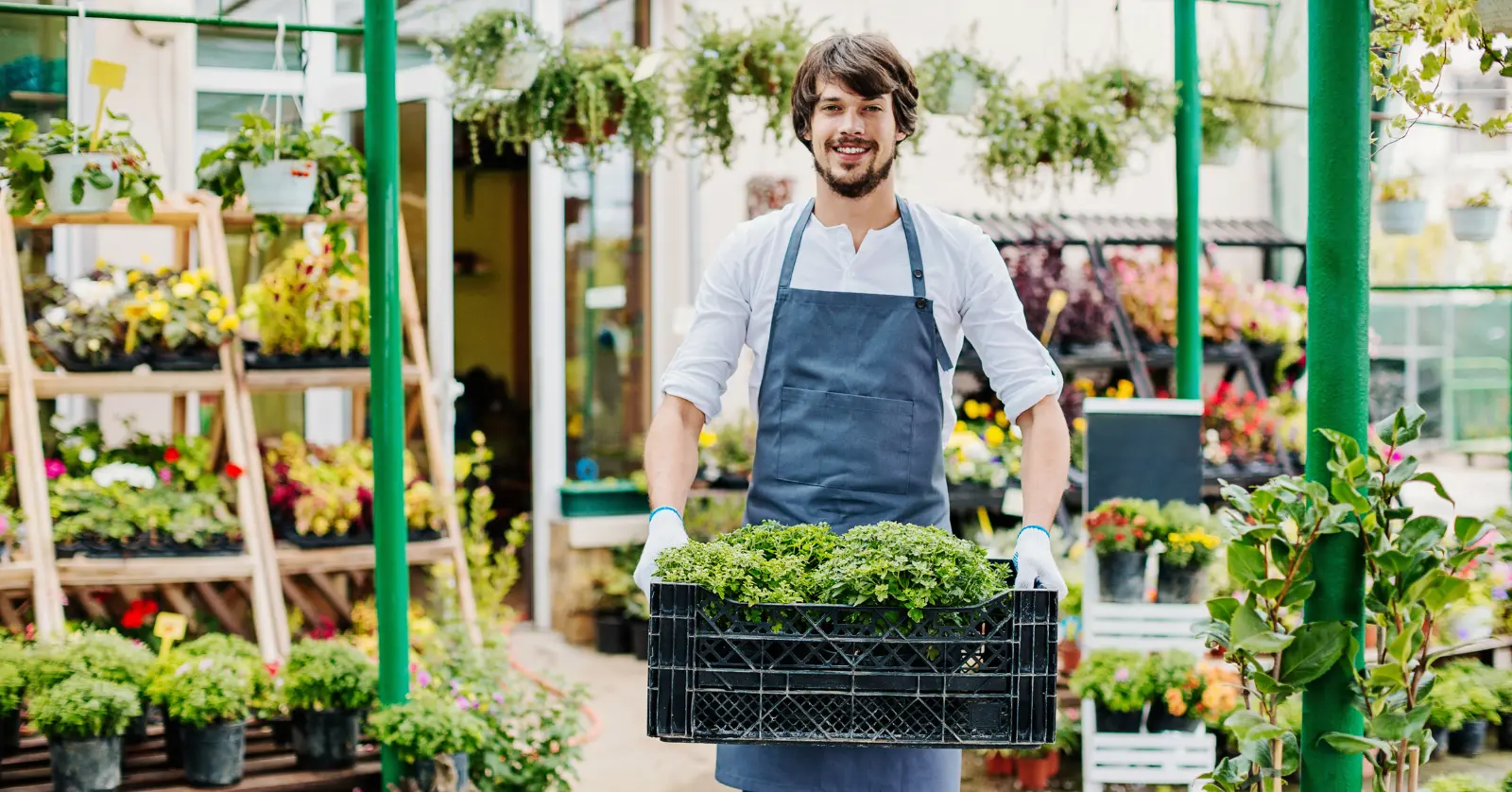 사진으로 식물이름찾기