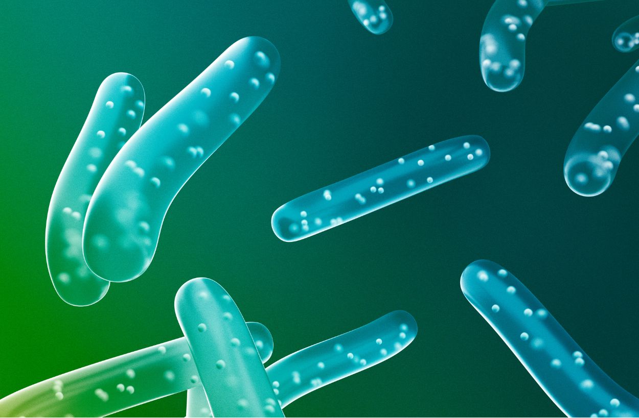 궤양성 대장염에 좋은 영양제