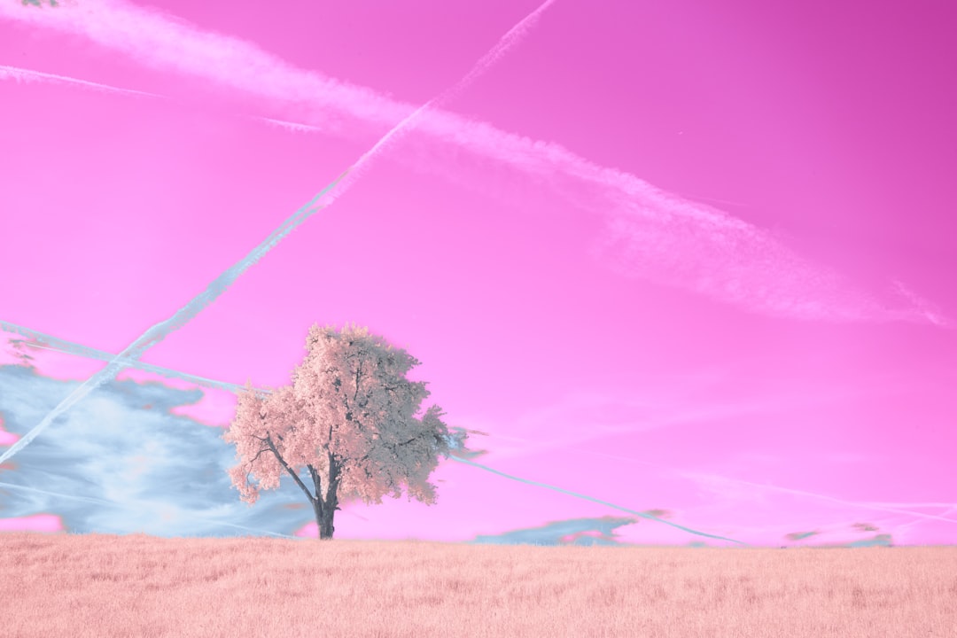 'Destiny'