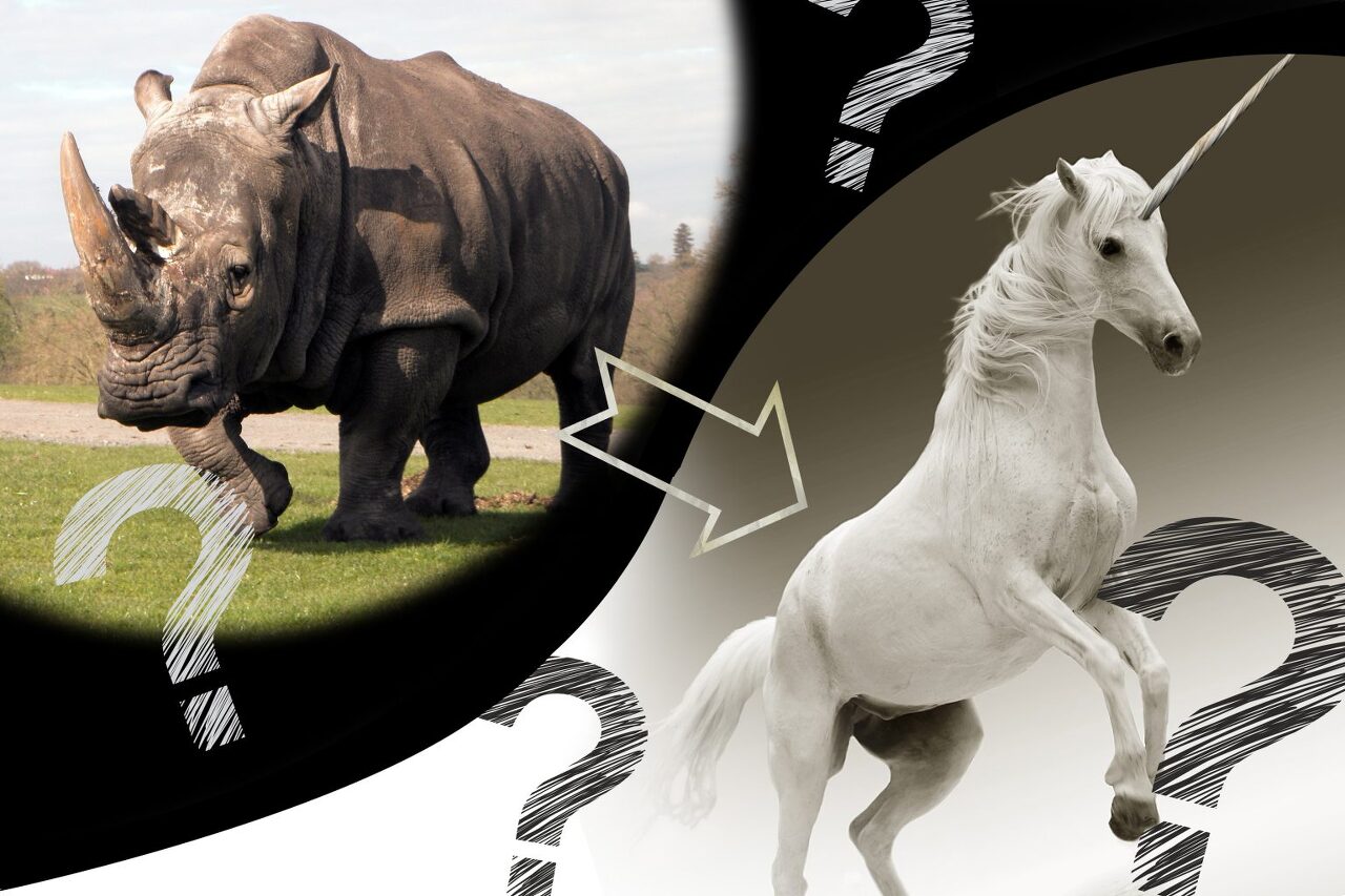 코뿔소와 일각수