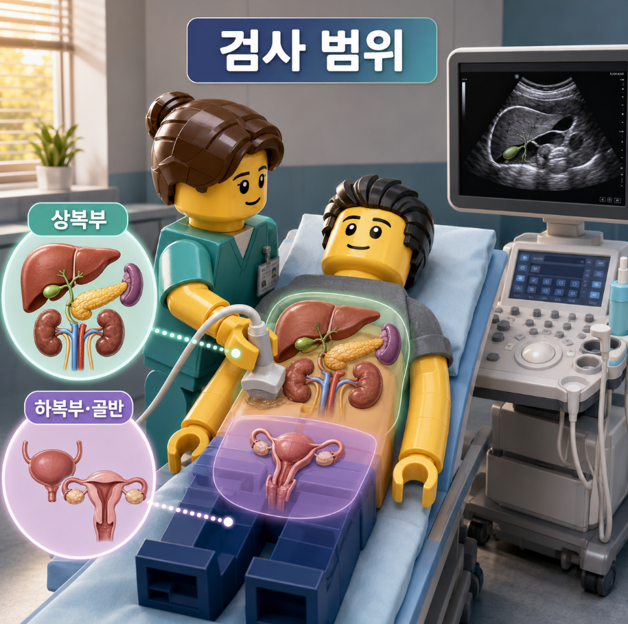 복부초음파 검사 범위와 상복부&middot;하복부 장기를 보여주는 의료 인포그래픽