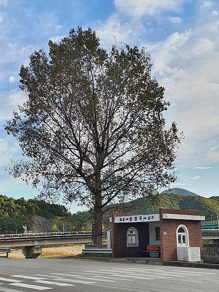 강원도 삼척시 미로면 상정 버스 정류장