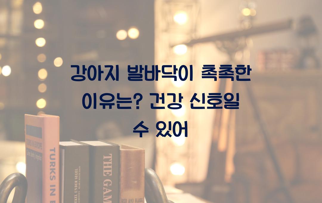 강아지 발바닥이 촉촉한 이유는?