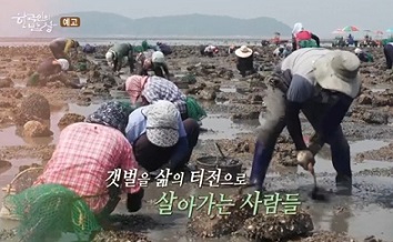 갯마을밥상